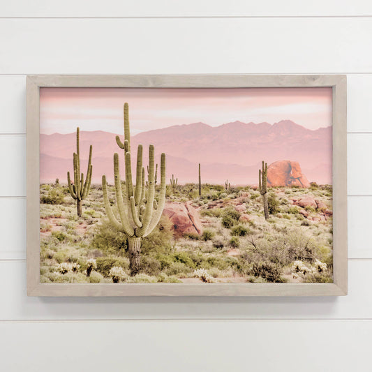 Pink Sky Desert