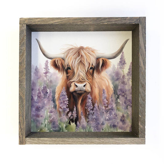 Highland Cow Lavender Fields